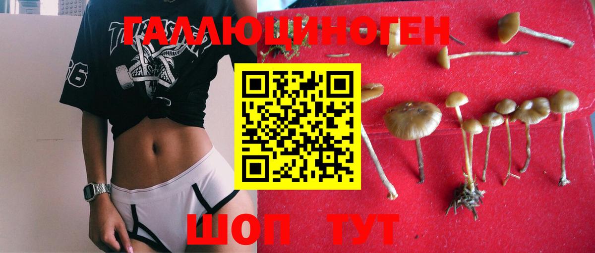 Псилоцибиновые грибы мицелий  Псилоцибиновые грибы прущие грибы  Вязники  Вход с VPN 